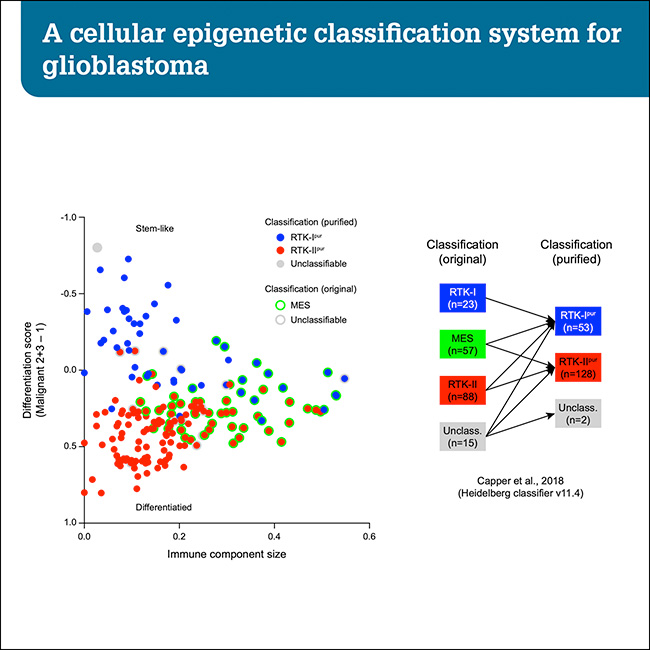 A cellular epigenetic classification system for glioblastoma