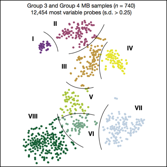 The whole-genome landscape of medulloblastoma subtypes