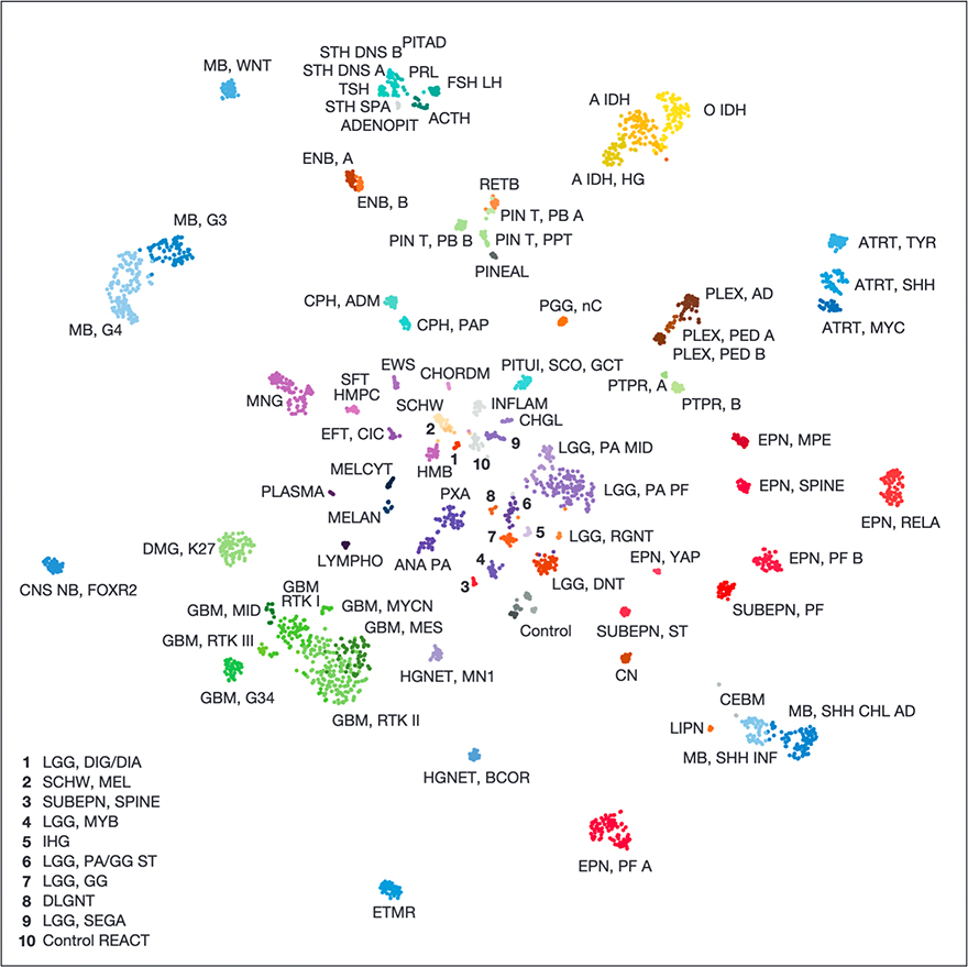 DNA methylation-based classification of central nervous system tumours