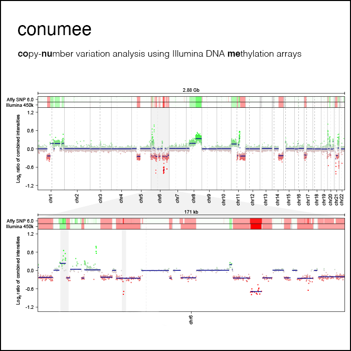 Copy-number variation analysis from methylation arrays
